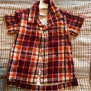 Boys well dressed Wolf